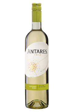 Antares Sauvignon 2023 Blanc Wines | Trident